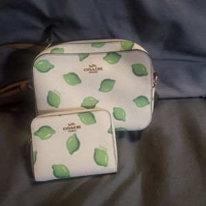 COACH spring purse